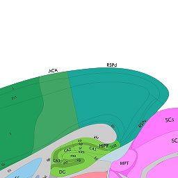 Interactive Atlas Viewer :: Atlas Viewer