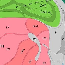Interactive Atlas Viewer :: Atlas Viewer