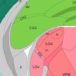 Interactive Atlas Viewer :: Atlas Viewer
