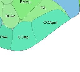 Interactive Atlas Viewer :: Atlas Viewer