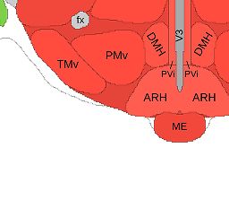 Interactive Atlas Viewer :: Atlas Viewer