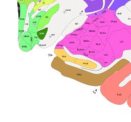 Interactive Atlas Viewer :: Atlas Viewer