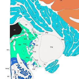 Interactive Atlas Viewer :: Atlas Viewer